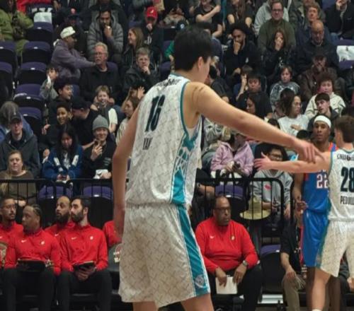 联合国官员,强调,加沙停火成,新葡京,新葡京app,新葡京娱乐,新普京赌场