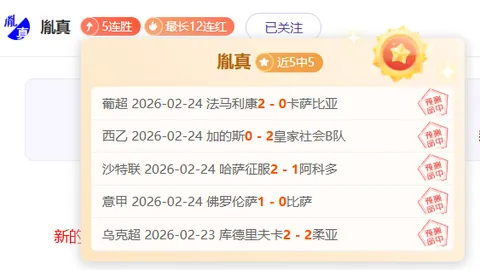 女子拳击世锦赛半决赛战况揭晓