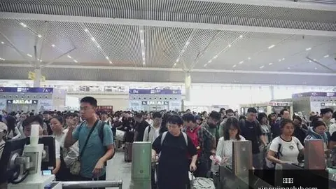 免费攻略女武神对决梦想：深度解读秘籍